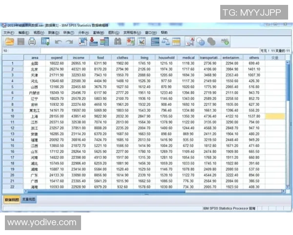 摩洛哥与伊朗比赛后技术统计全面分析与数据解读